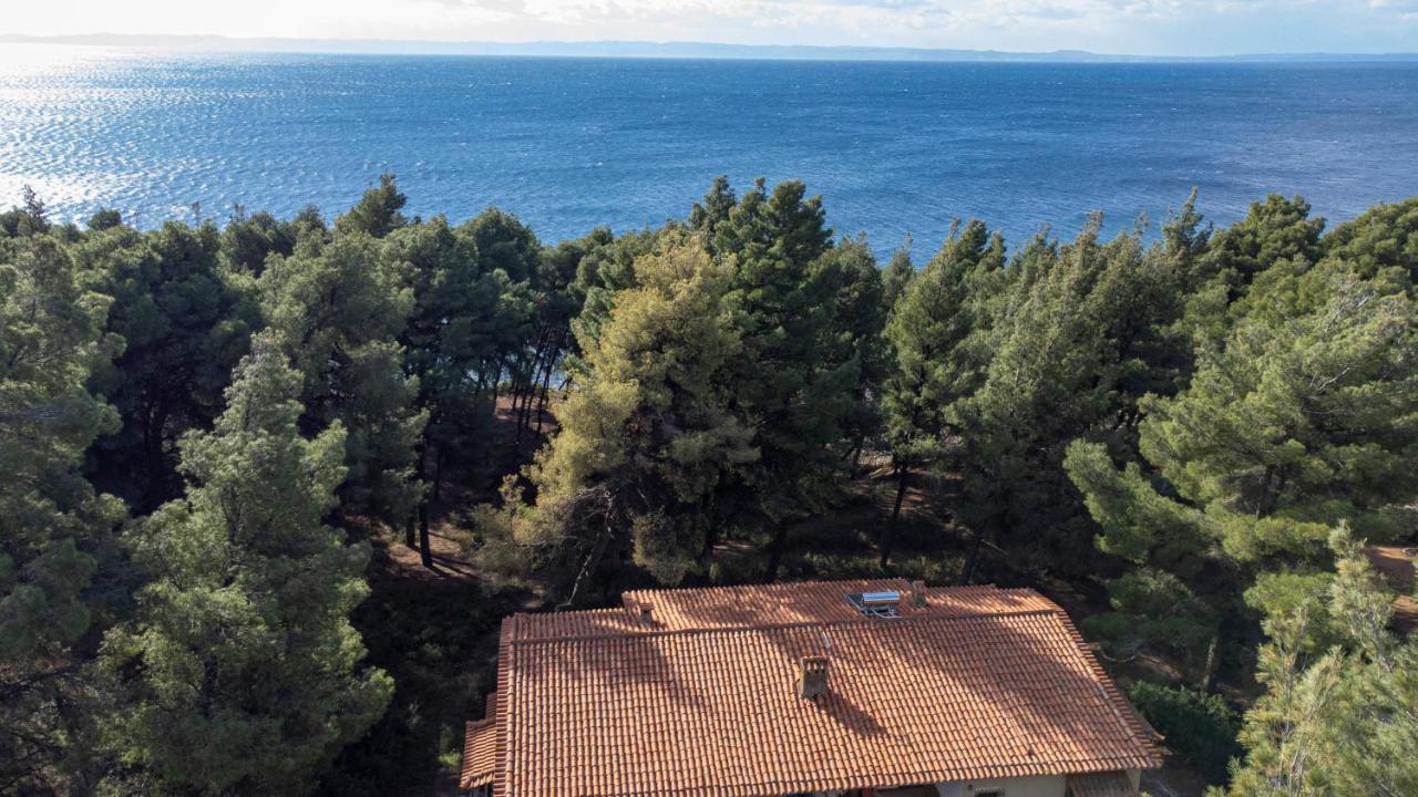 מטהמורפוסי Xelidonia Apartments By Rentalspro Services - Nikiti Halkidiki מראה חיצוני תמונה